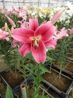 [4573 VH49 No101.JPG]